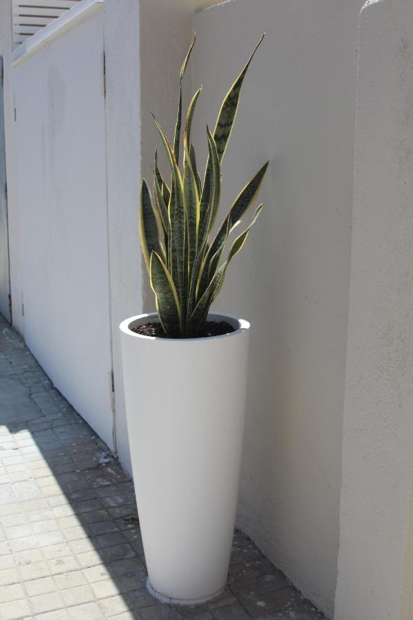 Malu Best Rooms - Tropea Exterior foto